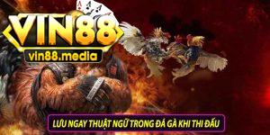 Lưu ngay thuật ngữ trong đá gà khi thi đấu